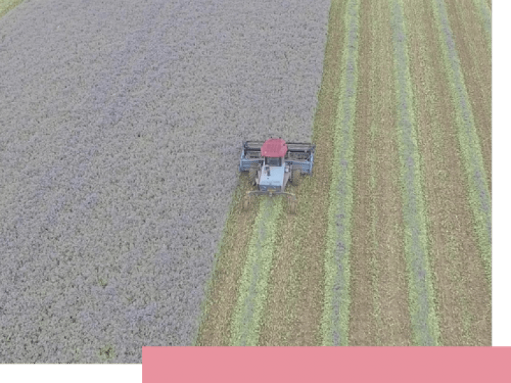 Global Reach Sustainable Supply