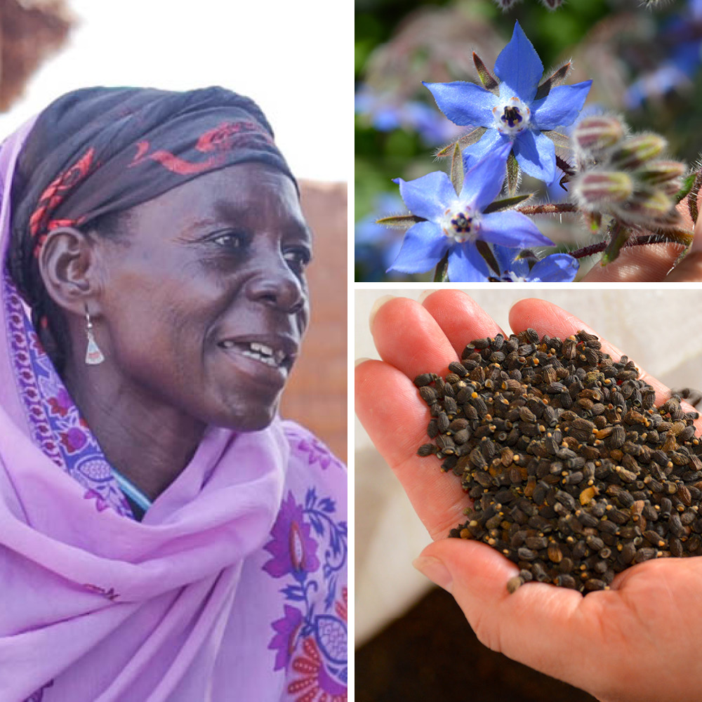 Ethical Sourcing & Supplier Sustainability 500X375px Double